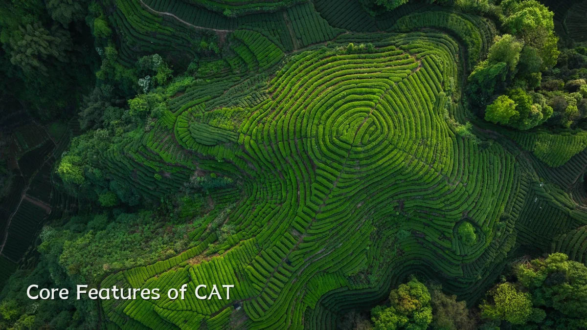 Core Features of CAT