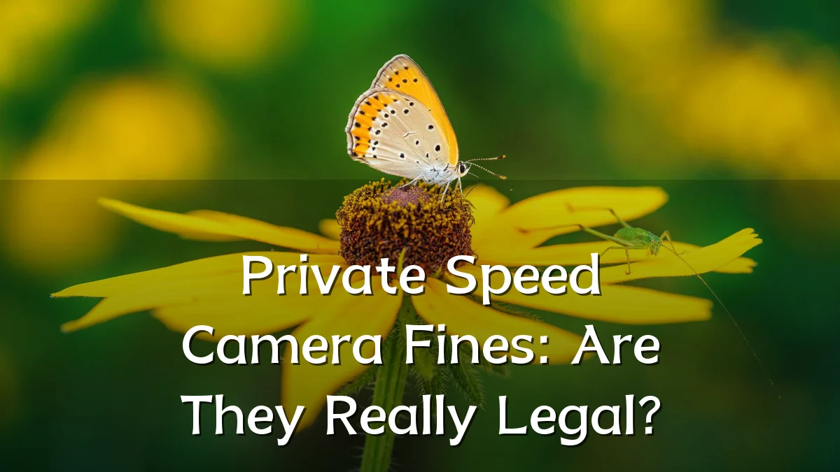 Private Speed Camera Fines: Are They Really Legal?