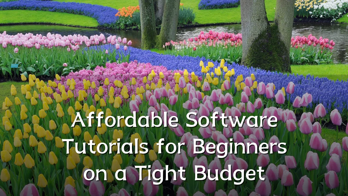 Affordable Software Tutorials for Beginners on a Tight Budget
