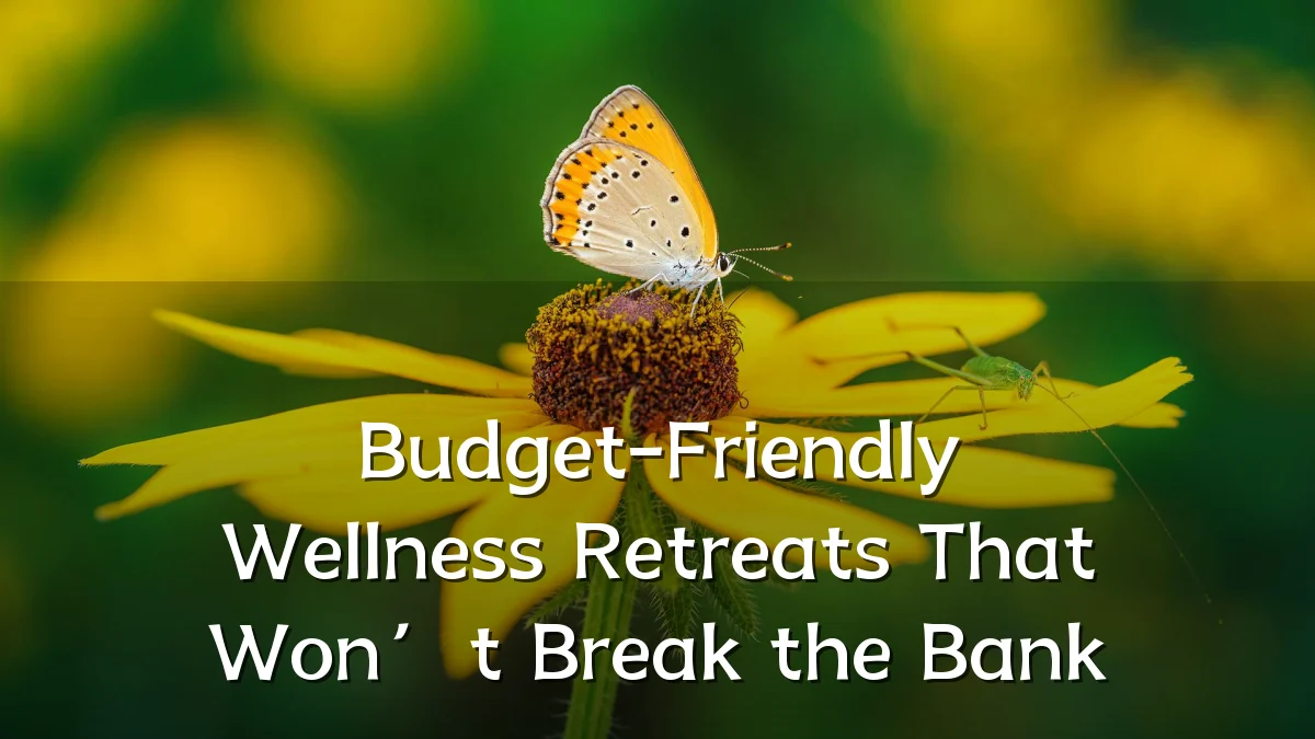 Budget-Friendly Wellness Retreats That Won’t Break the Bank
