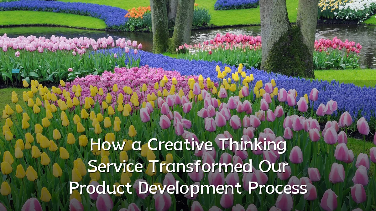 How a Creative Thinking Service Transformed Our Product Development Process