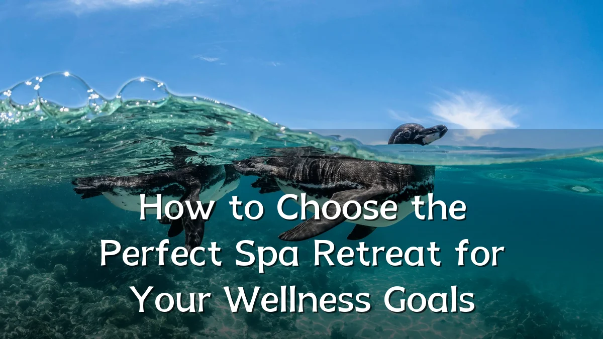 How to Choose the Perfect Spa Retreat for Your Wellness Goals