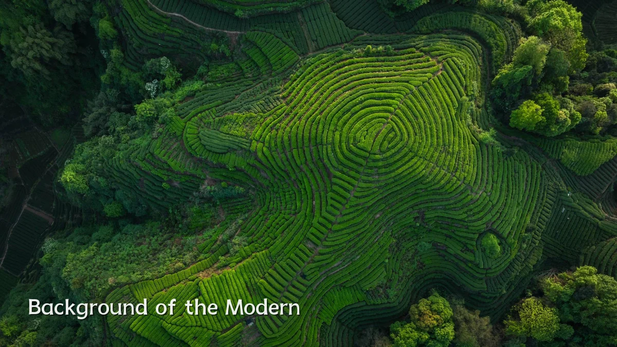 Background of the Modern