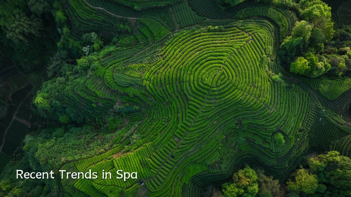 Recent Trends in Spa