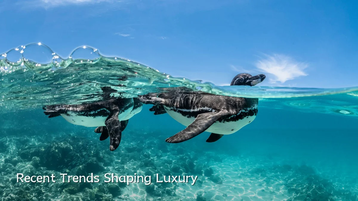 Recent Trends Shaping Luxury