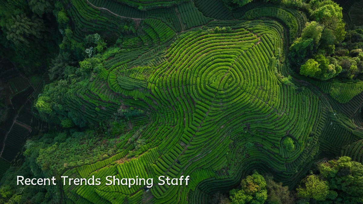 Recent Trends Shaping Staff