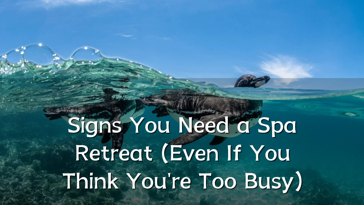 Signs You Need a Spa Retreat (Even If You Think You're Too Busy)