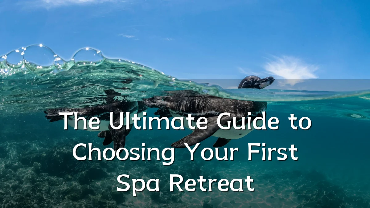 The Ultimate Guide to Choosing Your First Spa Retreat
