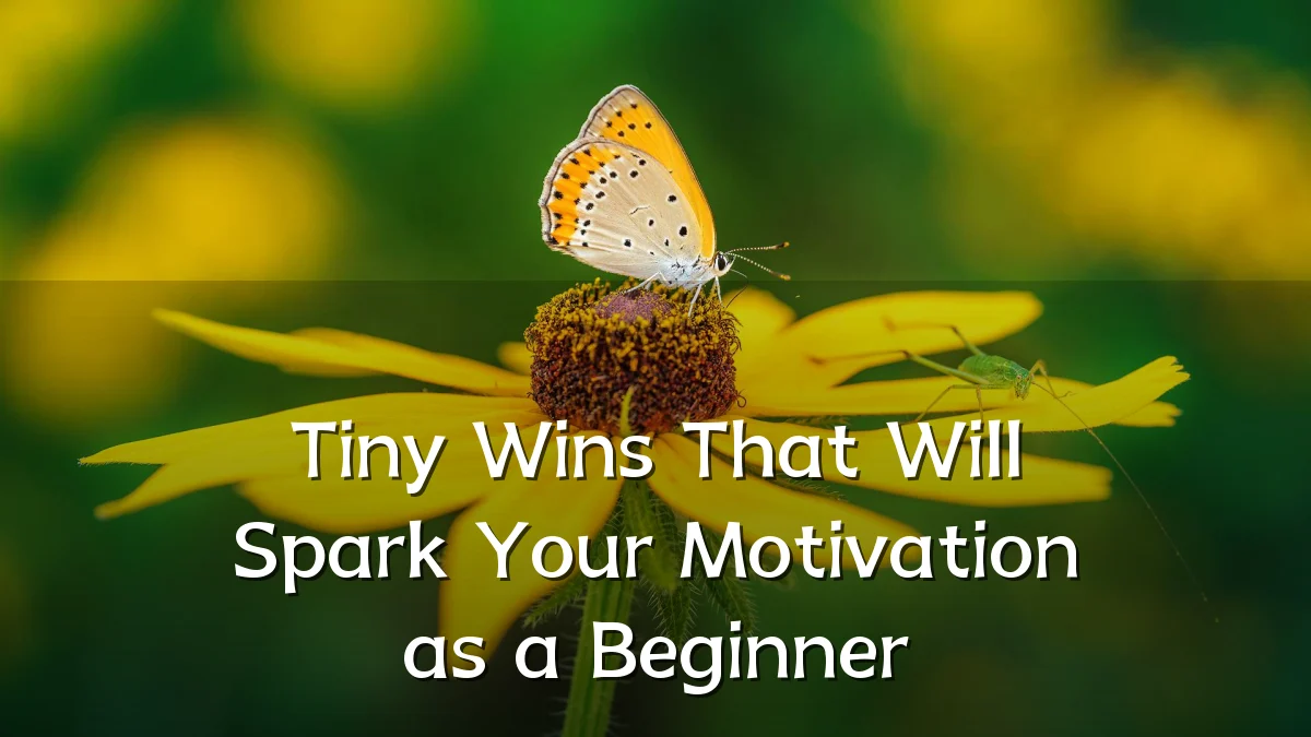 Tiny Wins That Will Spark Your Motivation as a Beginner