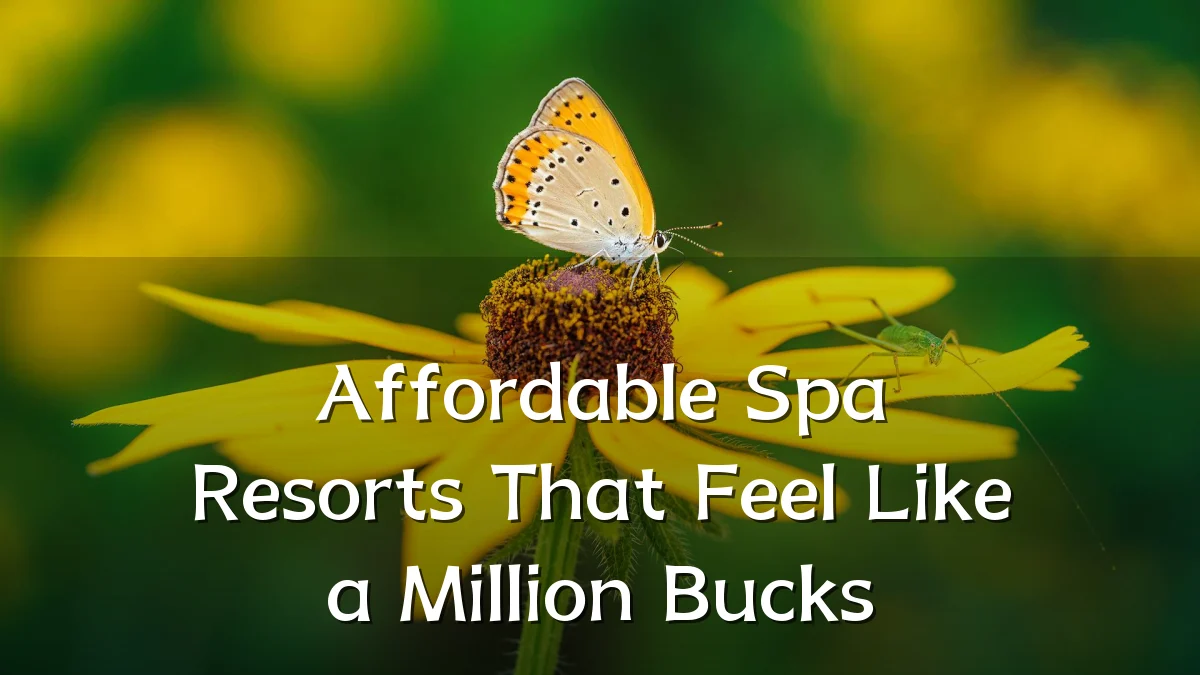 Affordable Spa Resorts That Feel Like a Million Bucks