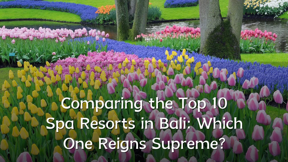 Comparing the Top 10 Spa Resorts in Bali: Which One Reigns Supreme?