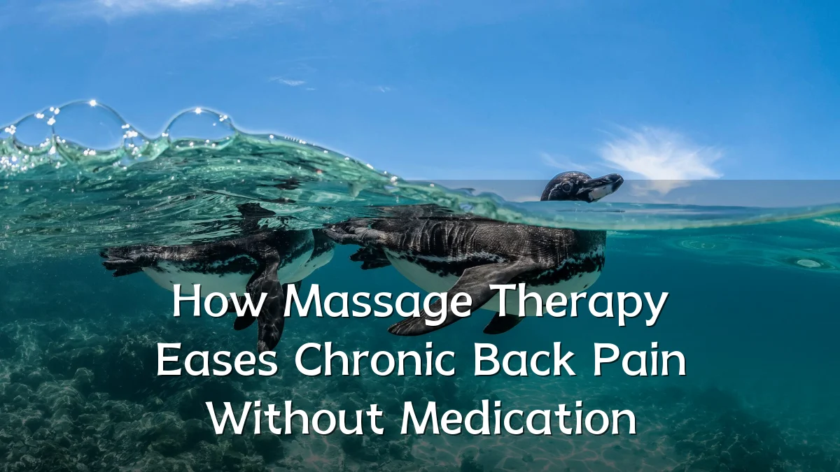 How Massage Therapy Eases Chronic Back Pain Without Medication