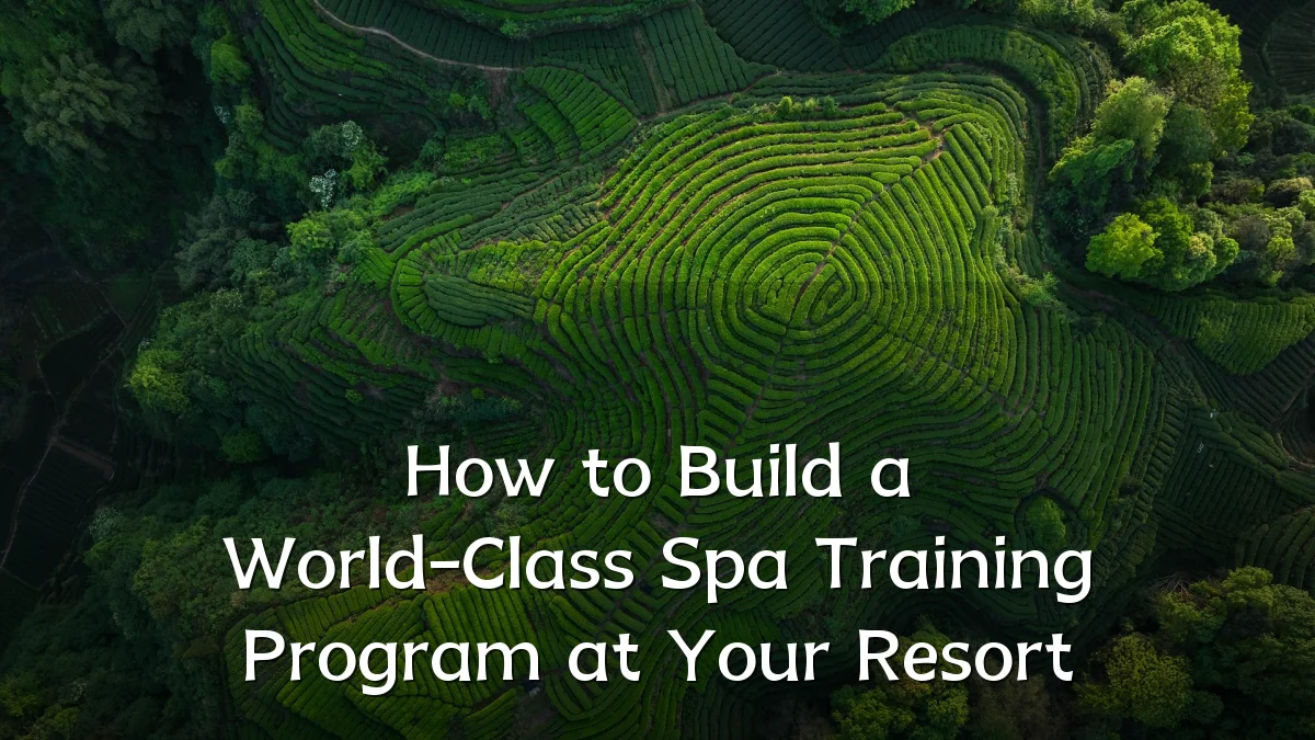 How to Build a World-Class Spa Training Program at Your Resort