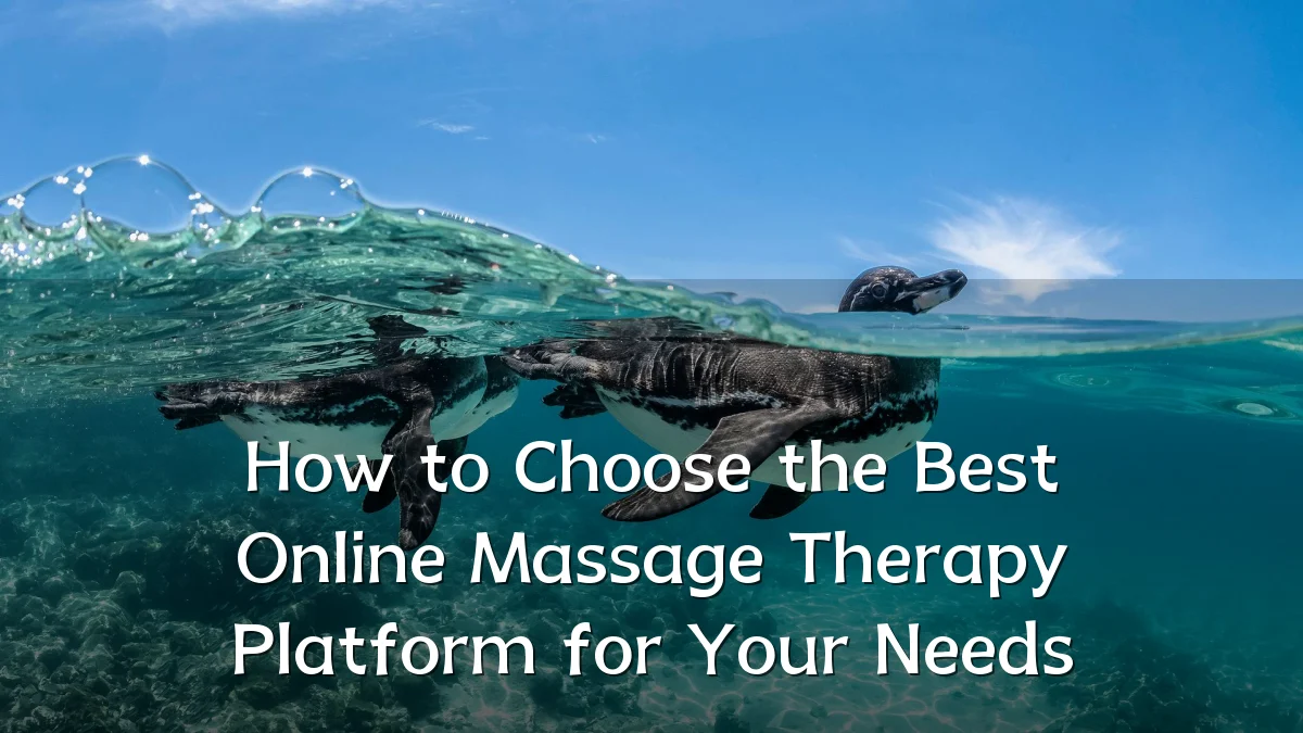 How to Choose the Best Online Massage Therapy Platform for Your Needs
