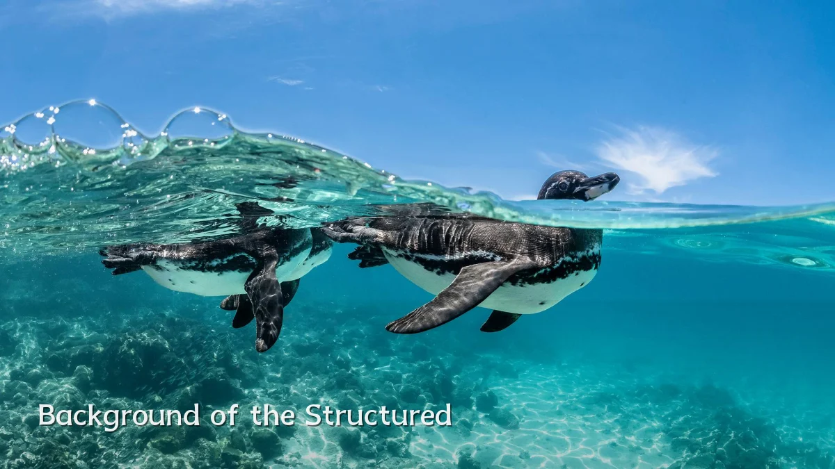 Background of the Structured