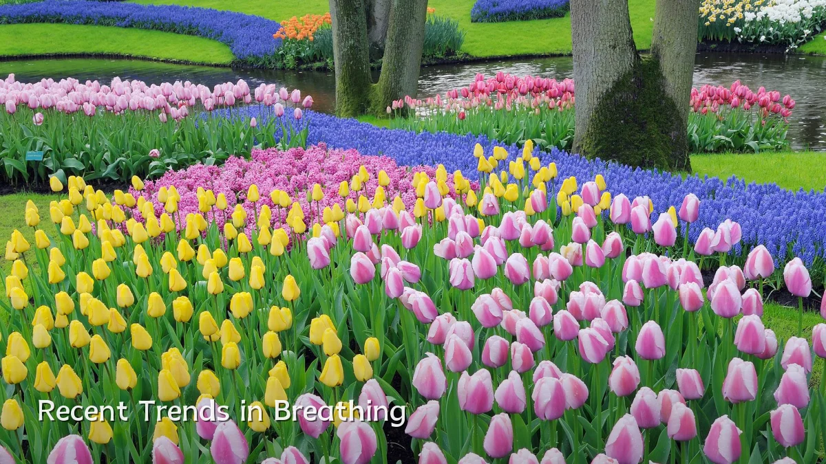 Recent Trends in Breathing