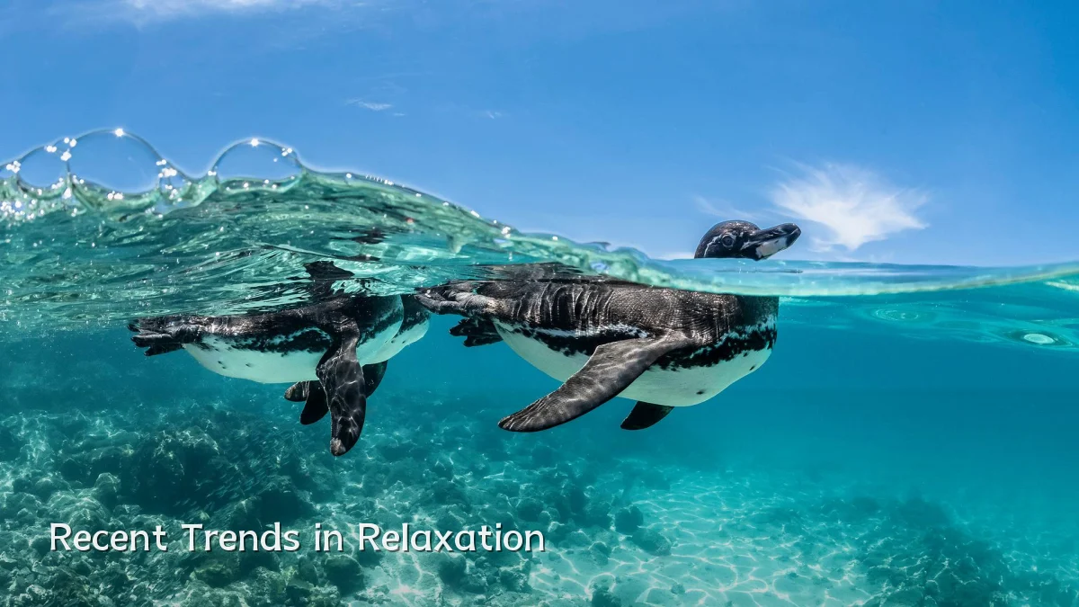 Recent Trends in Relaxation