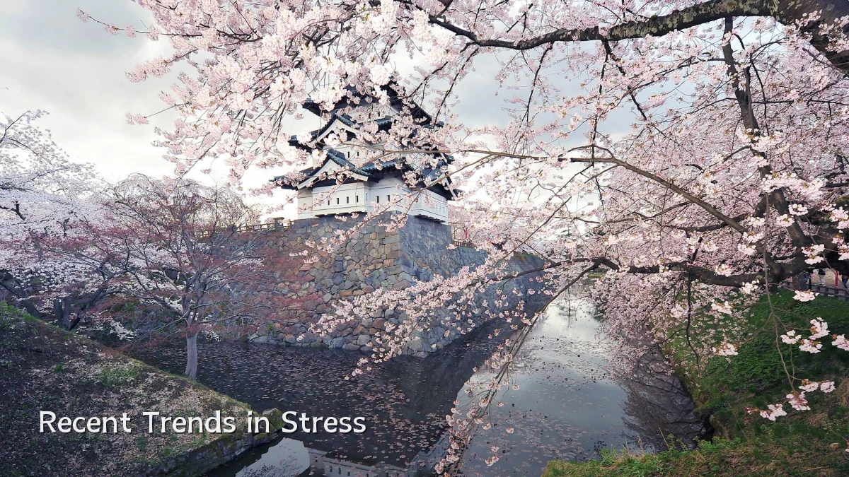 Recent Trends in Stress