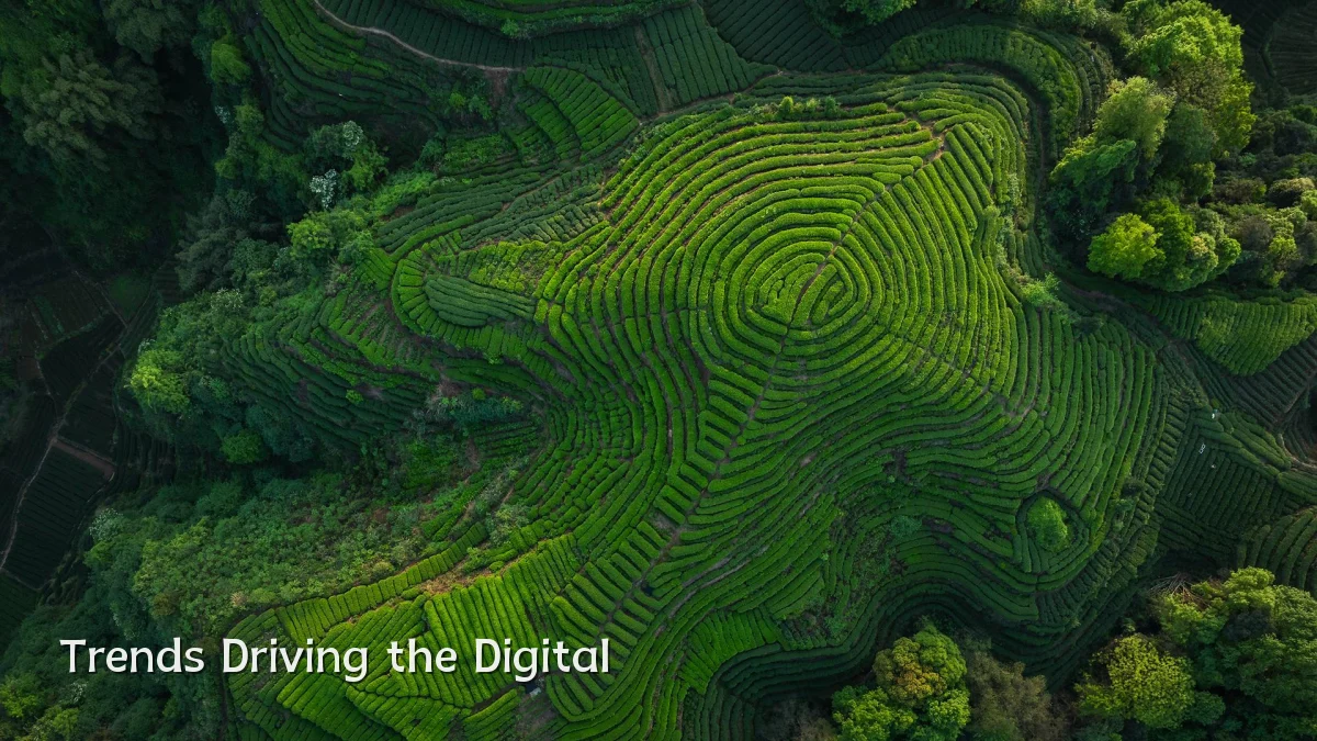 Trends Driving the Digital