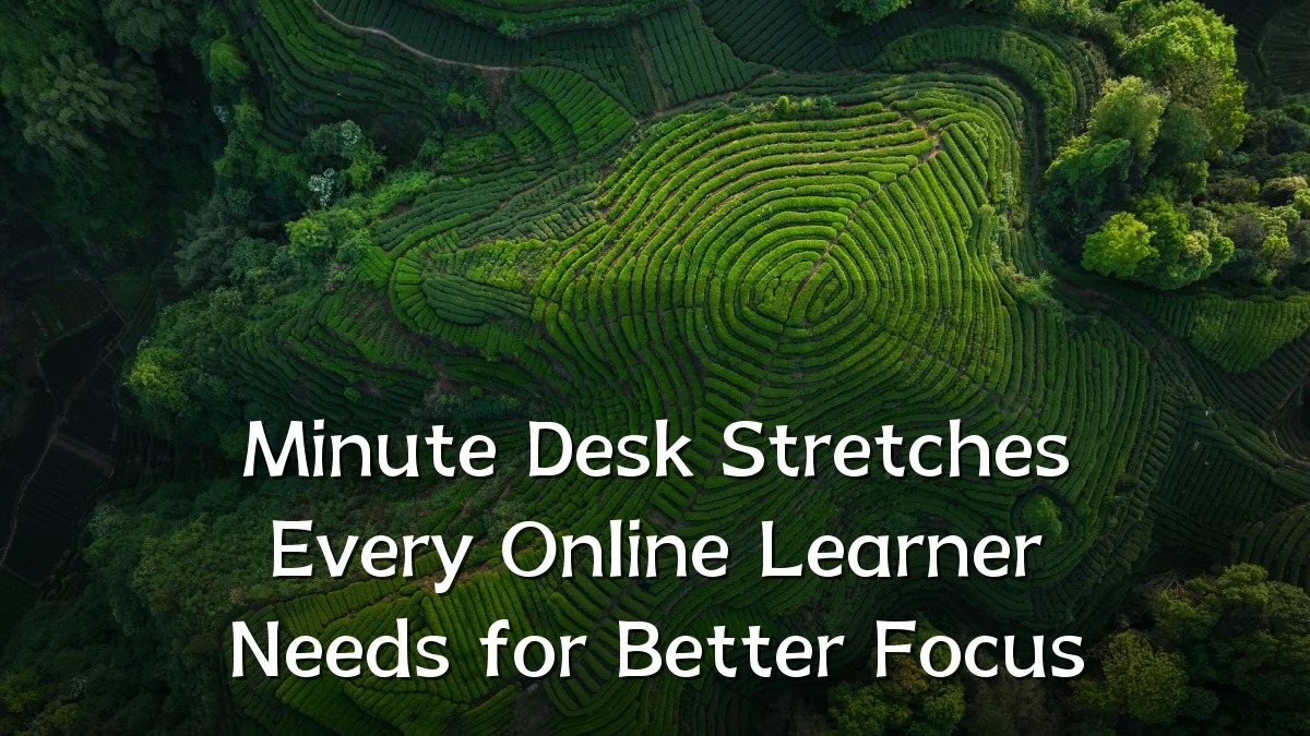 Minute Desk Stretches Every Online Learner Needs for Better Focus