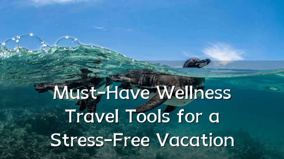 Must-Have Wellness Travel Tools for a Stress-Free Vacation