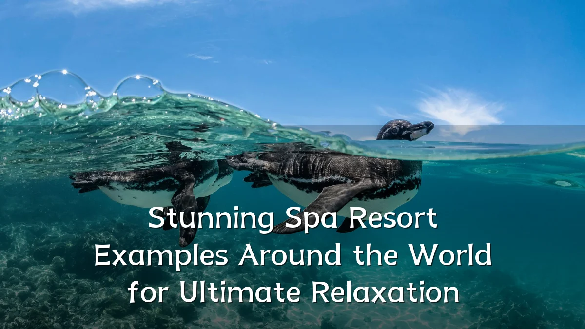 Stunning Spa Resort Examples Around the World for Ultimate Relaxation