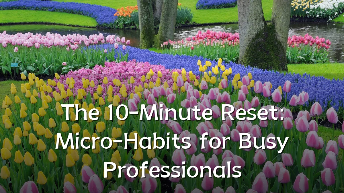 The 10-Minute Reset: Micro-Habits for Busy Professionals