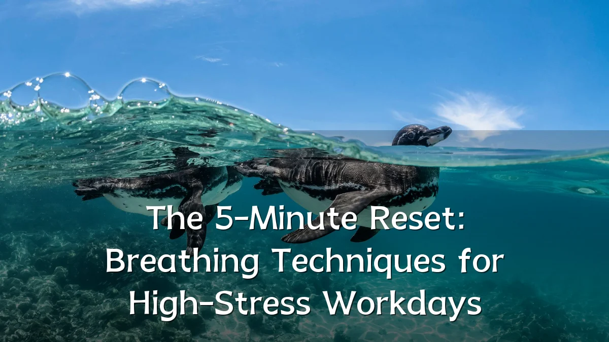 The 5-Minute Reset: Breathing Techniques for High-Stress Workdays