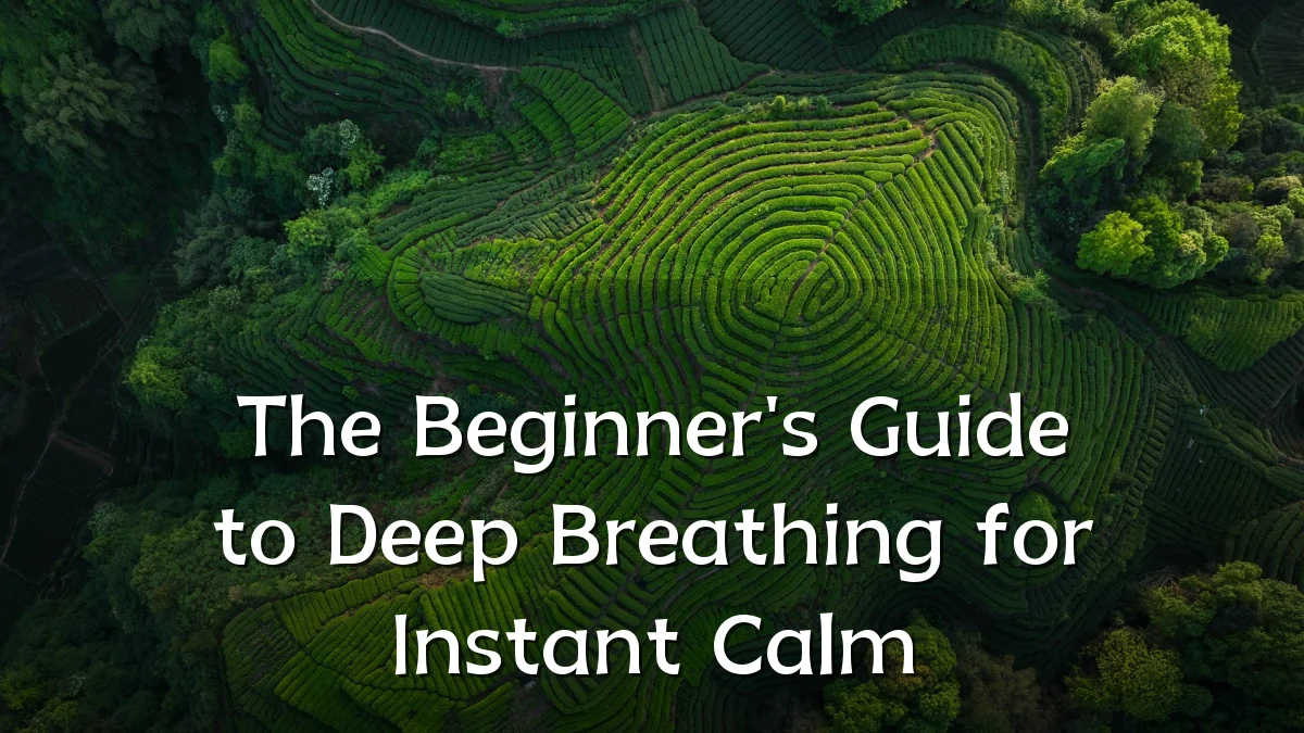 The Beginner's Guide to Deep Breathing for Instant Calm