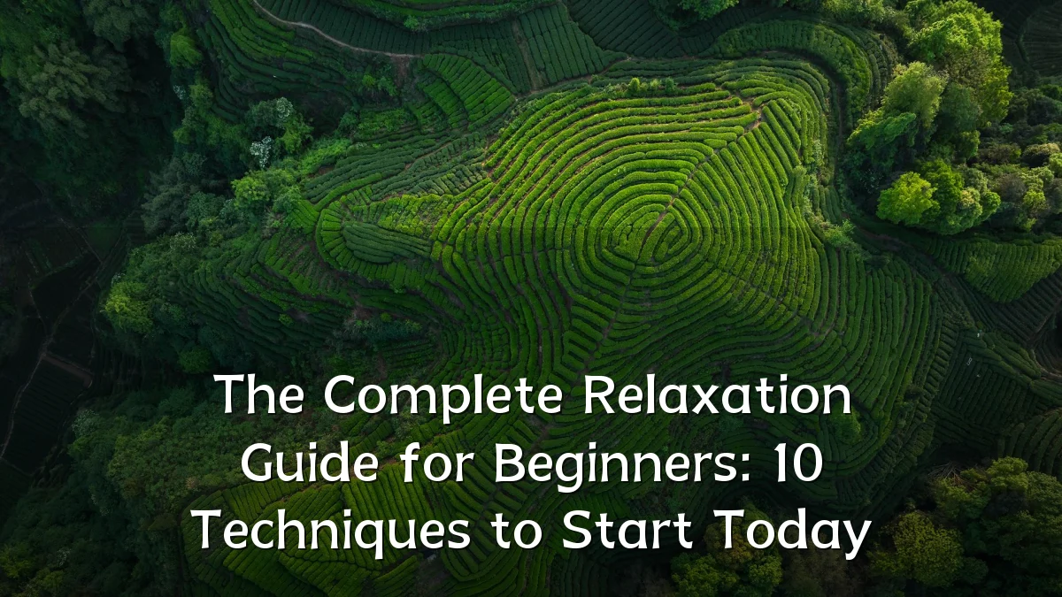 The Complete Relaxation Guide for Beginners: 10 Techniques to Start Today