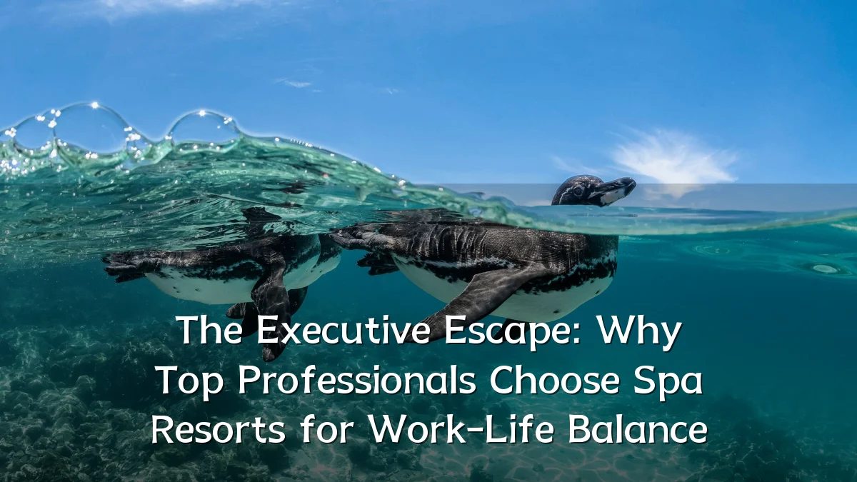 The Executive Escape: Why Top Professionals Choose Spa Resorts for Work-Life Balance