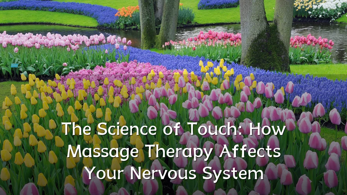 The Science of Touch: How Massage Therapy Affects Your Nervous System
