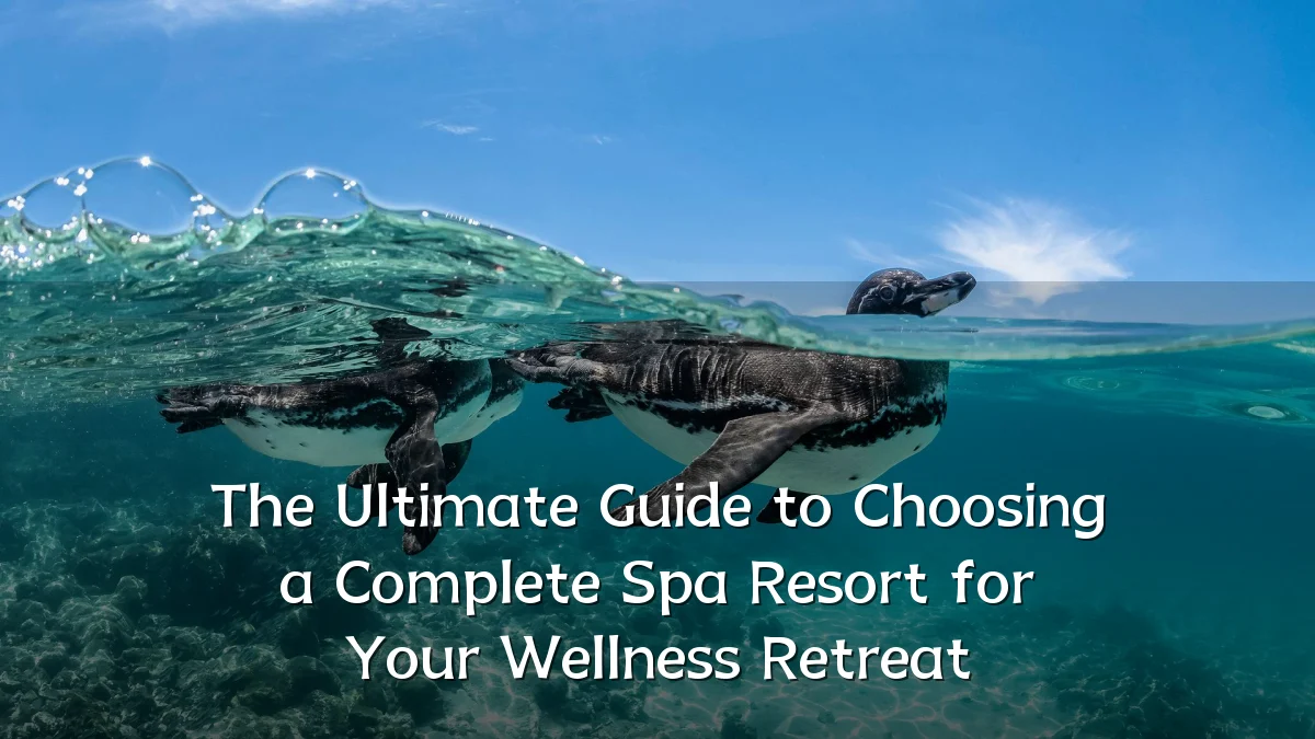 The Ultimate Guide to Choosing a Complete Spa Resort for Your Wellness Retreat