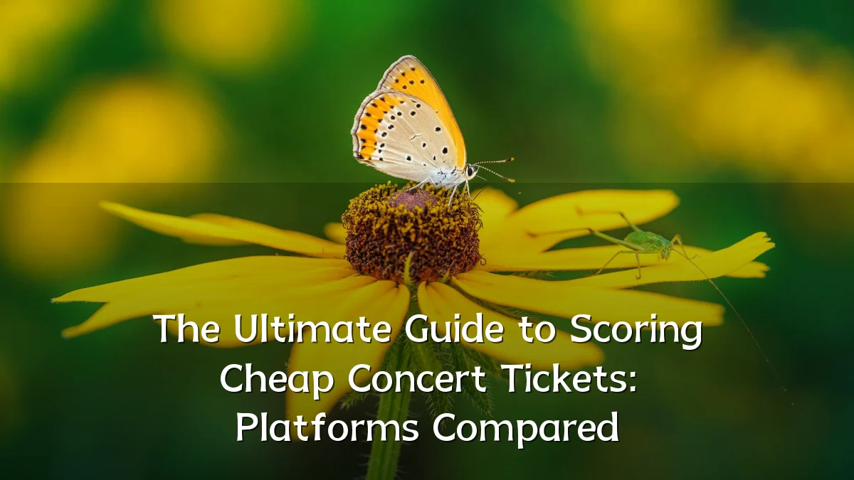 The Ultimate Guide to Scoring Cheap Concert Tickets: Platforms Compared