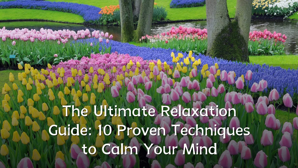 The Ultimate Relaxation Guide: 10 Proven Techniques to Calm Your Mind