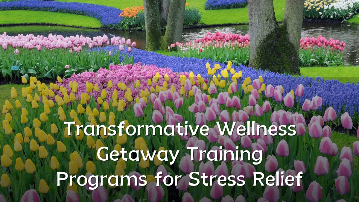 Transformative Wellness Getaway Training Programs for Stress Relief