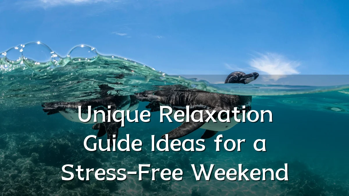 Unique Relaxation Guide Ideas for a Stress-Free Weekend