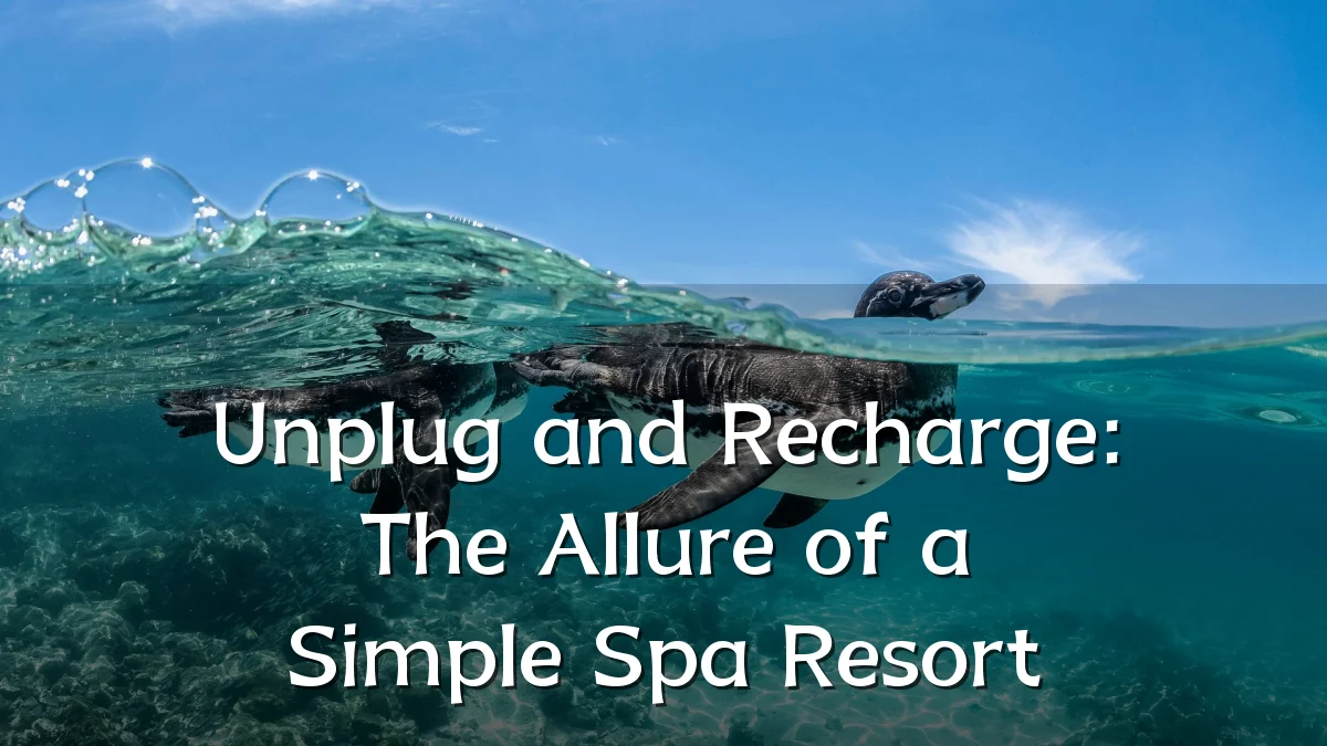Unplug and Recharge: The Allure of a Simple Spa Resort