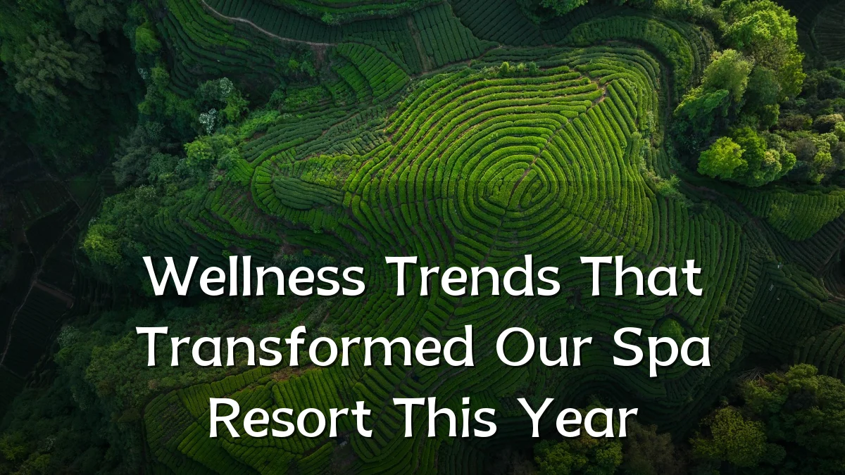 Wellness Trends That Transformed Our Spa Resort This Year