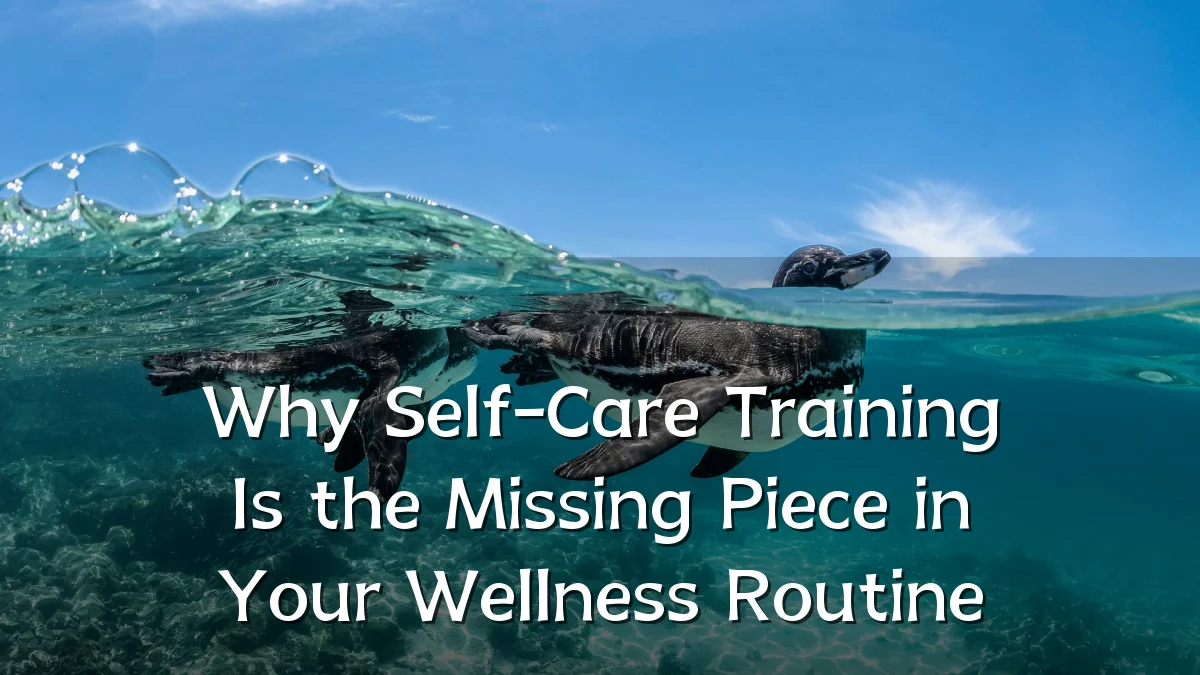 Why Self-Care Training Is the Missing Piece in Your Wellness Routine