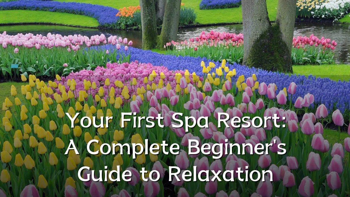 Your First Spa Resort: A Complete Beginner's Guide to Relaxation